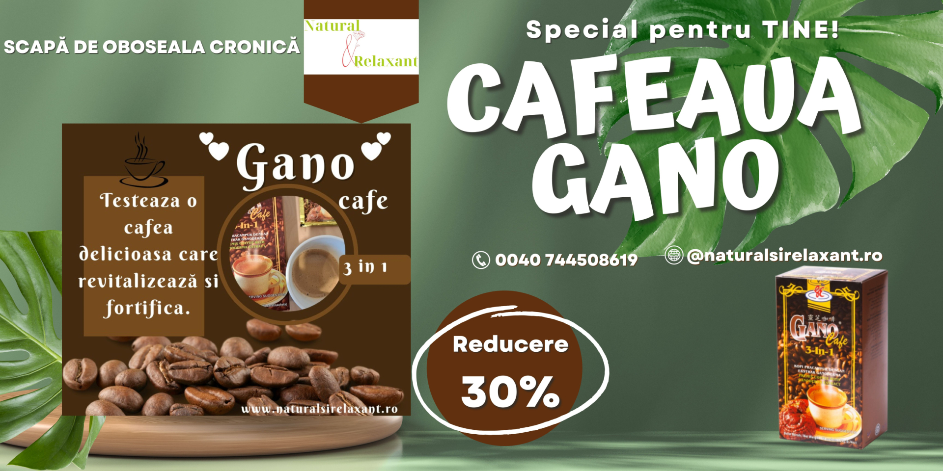 cafea cu ganoderma